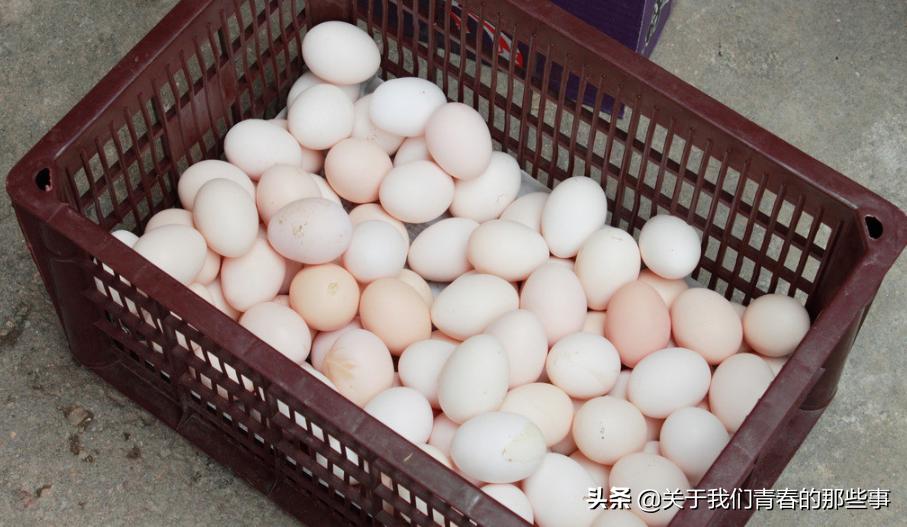 夏天,鸡蛋别放冰箱了!外婆教我2个方法,1个月不坏,和鲜蛋一样