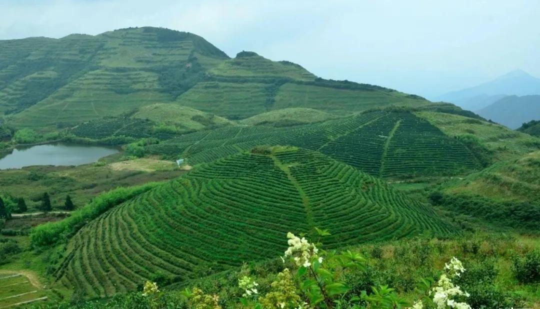 从长沙出发高铁旅游一圈路线推荐,长沙出发2-3天短途旅游高铁