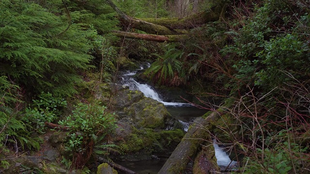 1935年300多名红军在六盘山,六盘山红军牺牲的原因