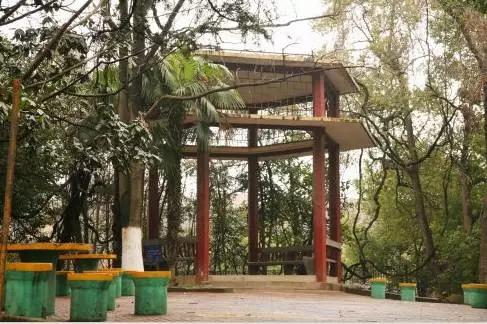 再见，梅山！再见了，我的9424……