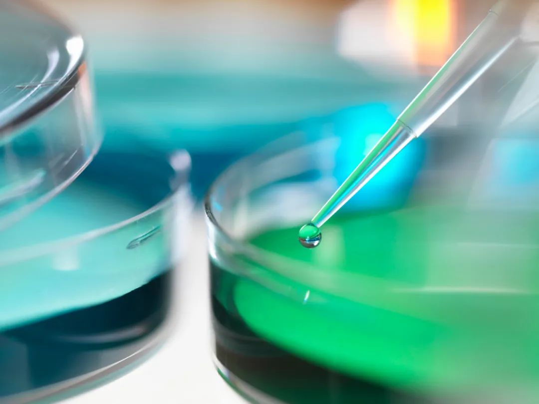 高中化学氯气方程式总结,高中化学所有方程式大全