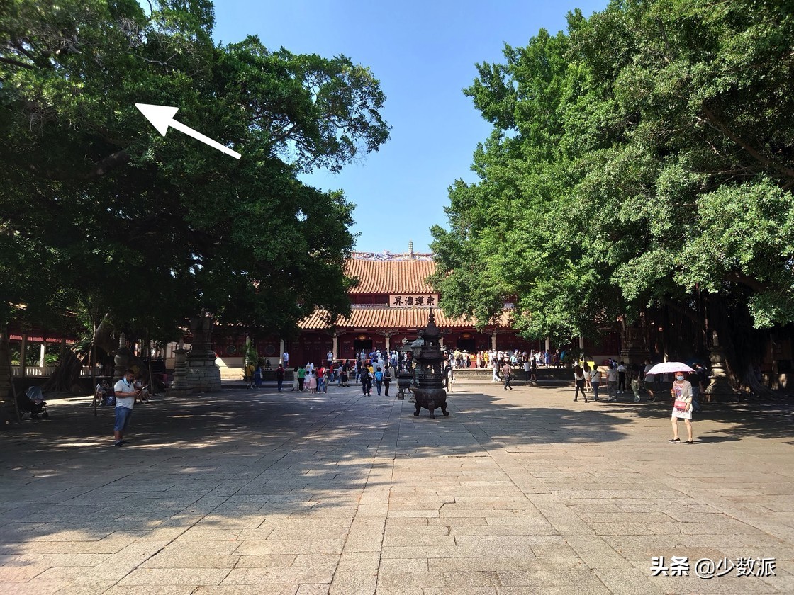 索尼手机xperia1ii真实体验,索尼xperia1ii现在还值得买吗