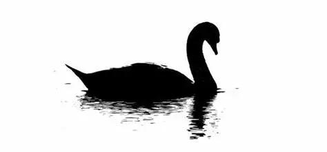 疫情“黑天鹅”降临，现在还是个人投资的好时机吗？