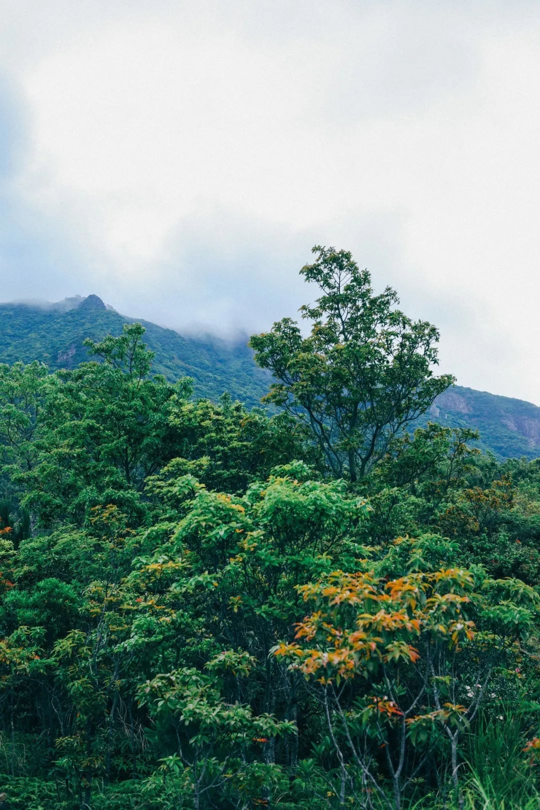 深圳值得打卡的建筑物,深圳最值得打卡的山