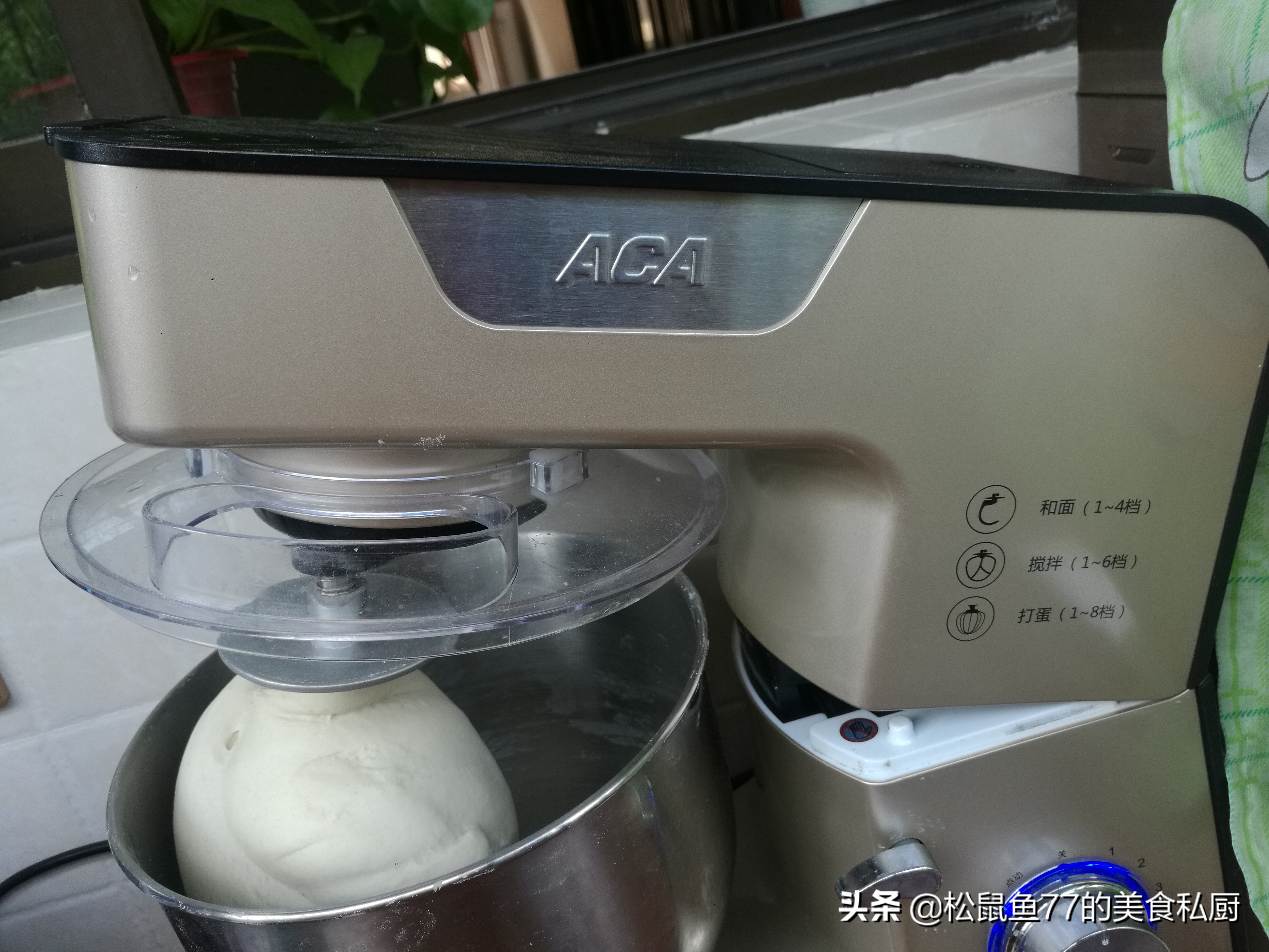 秋天吃什么菜馅饺子好吃,秋天包饺子就选这菜