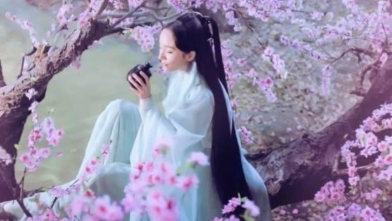 一杯桃花酿,一杯桃花酿完整版