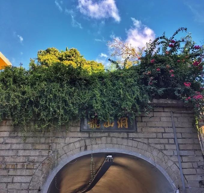 一个人旅行之厦门,一个人去厦门旅行攻略大全