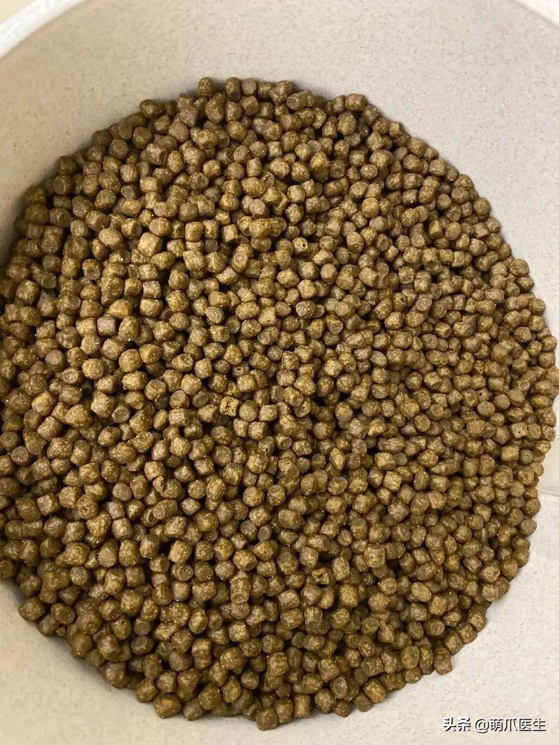 哪个品牌的猫粮把猫吃死了,go猫粮出事后怎么办