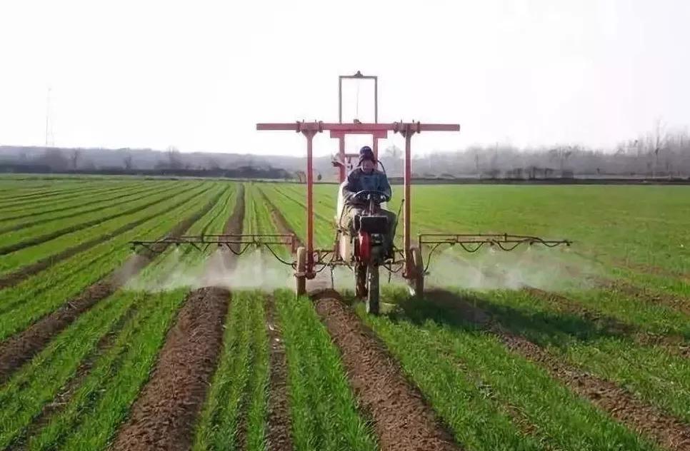 烯草酮除草剂使用注意事项,除草剂使用注意事项