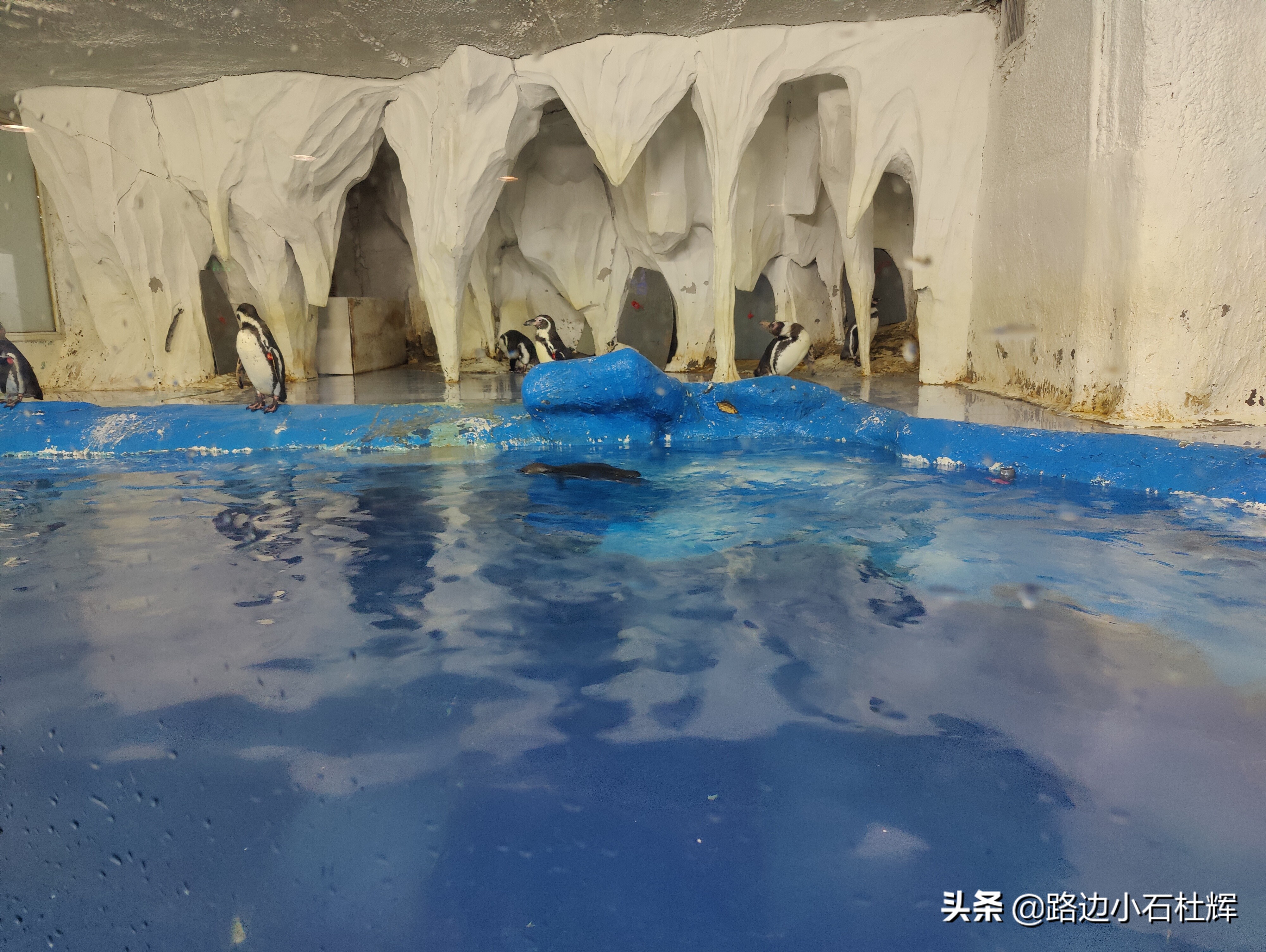 北京海洋馆海底世界游玩攻略,海洋馆北京海底世界游玩路线