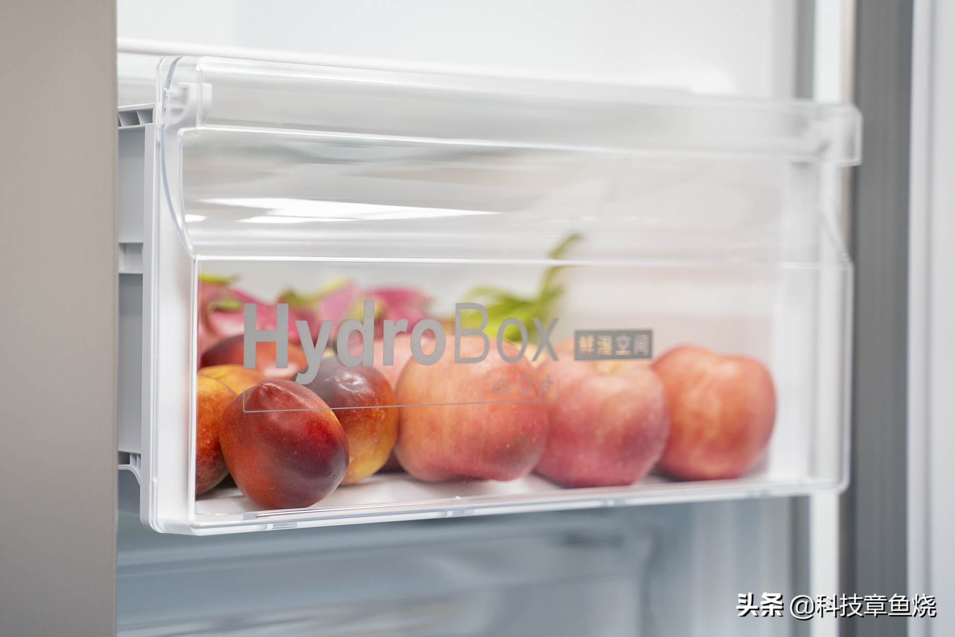 博世活氧对开门冰箱测评,博世双开门冰箱零度保鲜