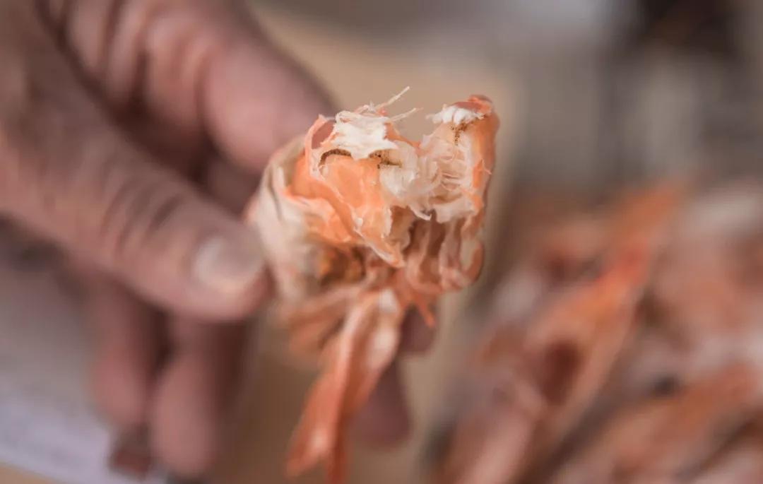 温补肾阳补肾固精吃什么,温肾固精的食品