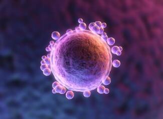 做试管婴儿需要问哪些问题,试管婴儿女士都需要经历什么