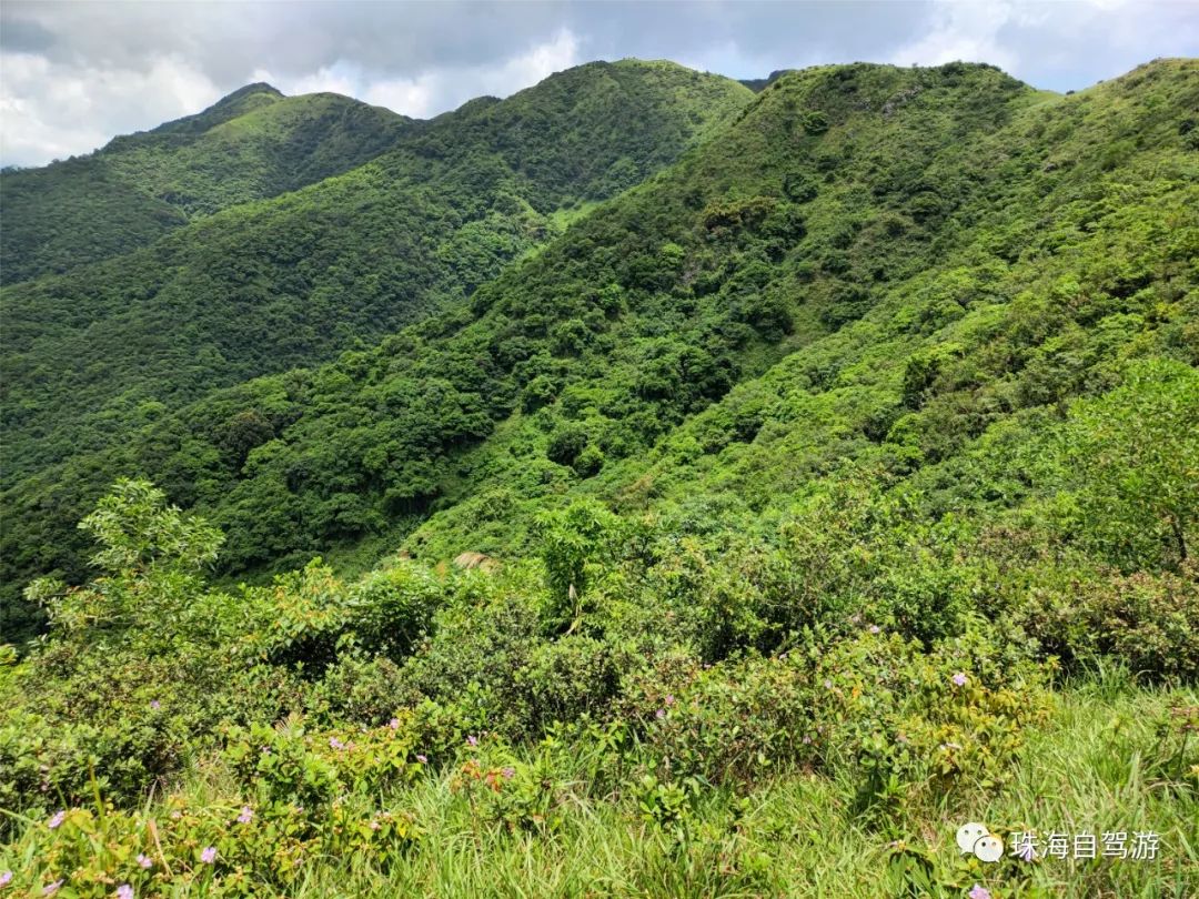 大山峰水牛坪露营记,东岸岭露营徒步