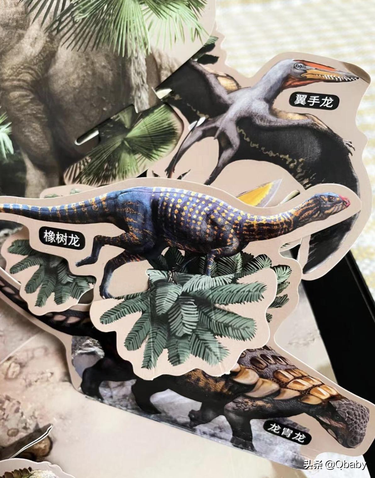 恐龙大百科恐龙探秘,恐龙探秘恐龙化石