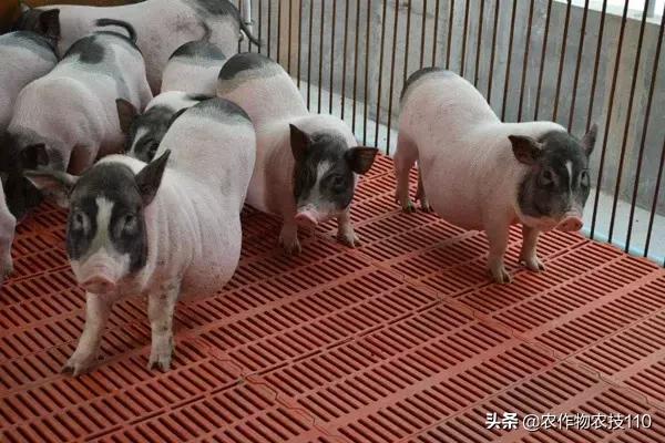 副业做房地产有什么前景,干了三年房地产转行干啥好