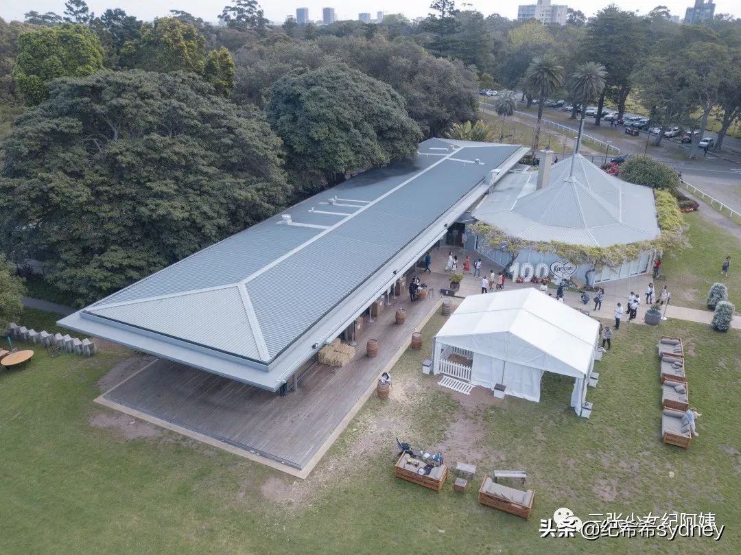 可瑞康奶粉澳洲价格,可瑞康代购奶粉澳洲