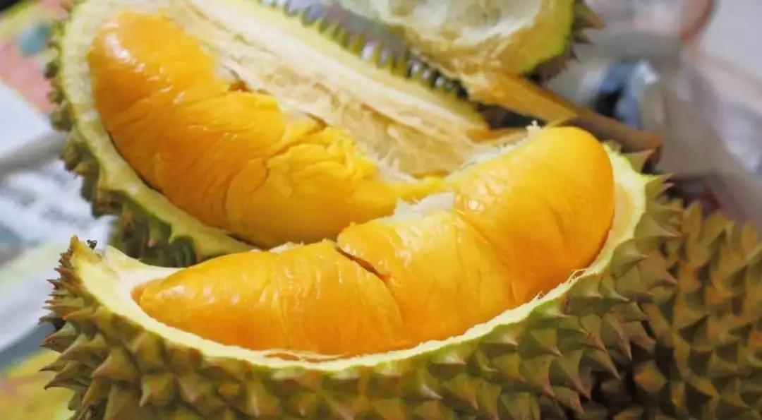 女孩经常吃榴莲会早发育吗,成熟过度的榴莲小孩子能吃吗