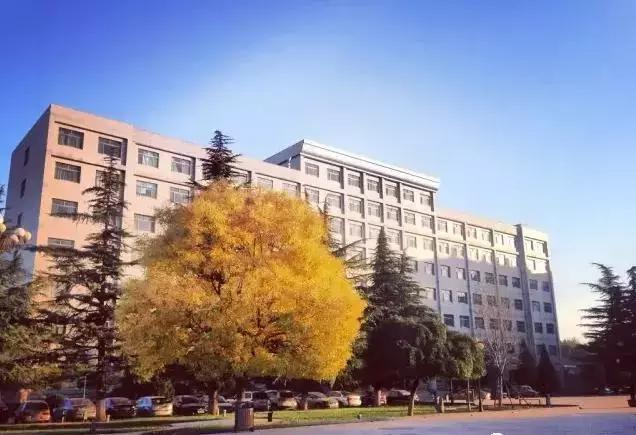 山东省高考志愿填报96个专业,山东高考志愿10万名