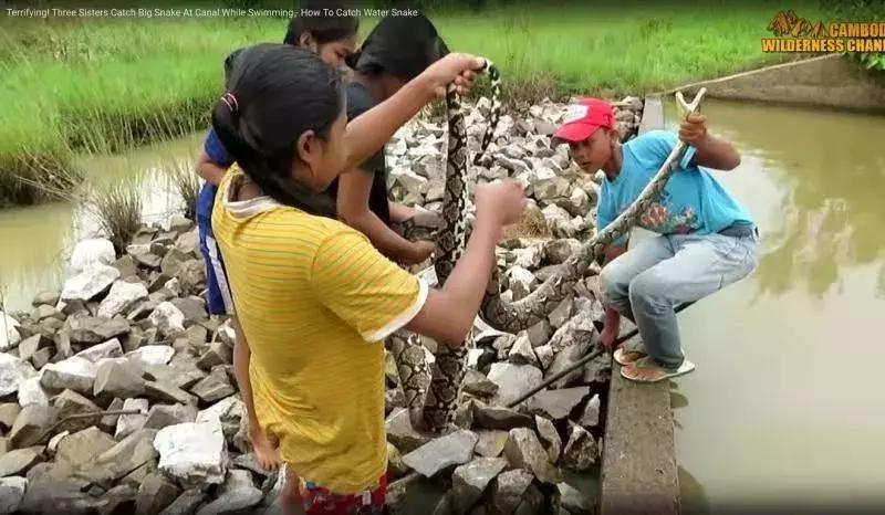 男版李子柒火了,李子柒做原始烤炉视频