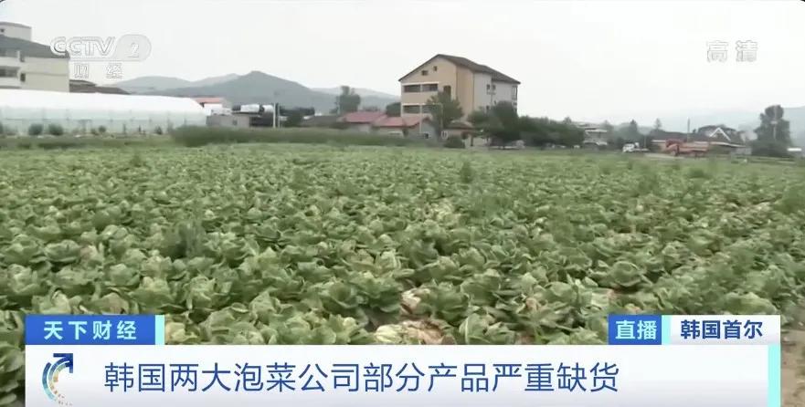 讲了一个悲伤故事,讲一个悲伤的故事吧