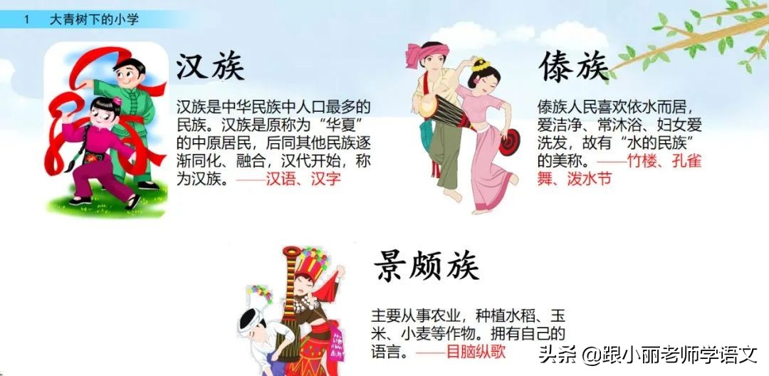 大青树下的小学重点知识点,大青树下的小学重点知识梳理