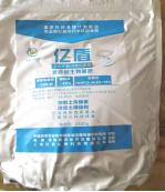 福建草莓露天种植全过程,露天草莓种植管理技术和方法