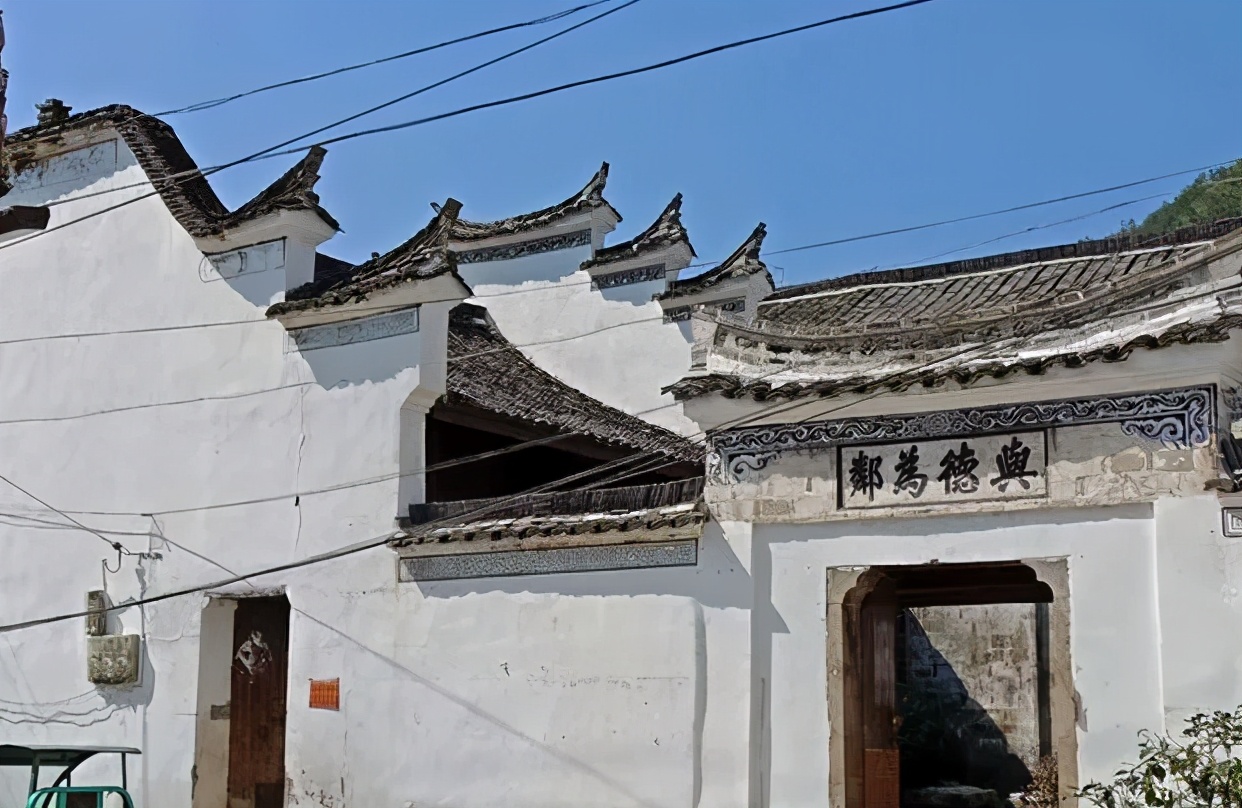 丽水上热搜,浙江丽水现萤火虫星海