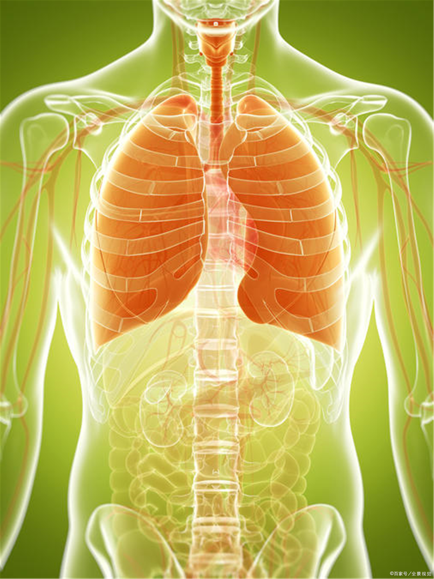 人正常能憋气30秒吗,人最多可以闭气几分钟