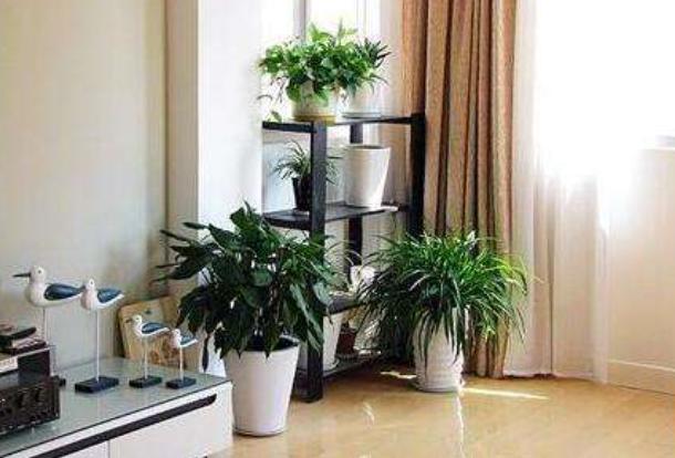 装修除甲醛最佳时间,装修除甲醛的最科学方法