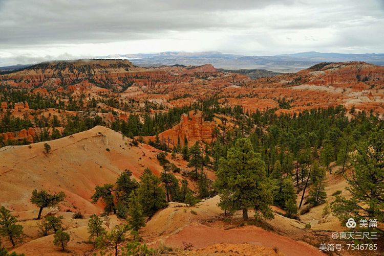 鍖楃編鏋儏闃虫柊,鍖楃編鏋儏鍥剧墖