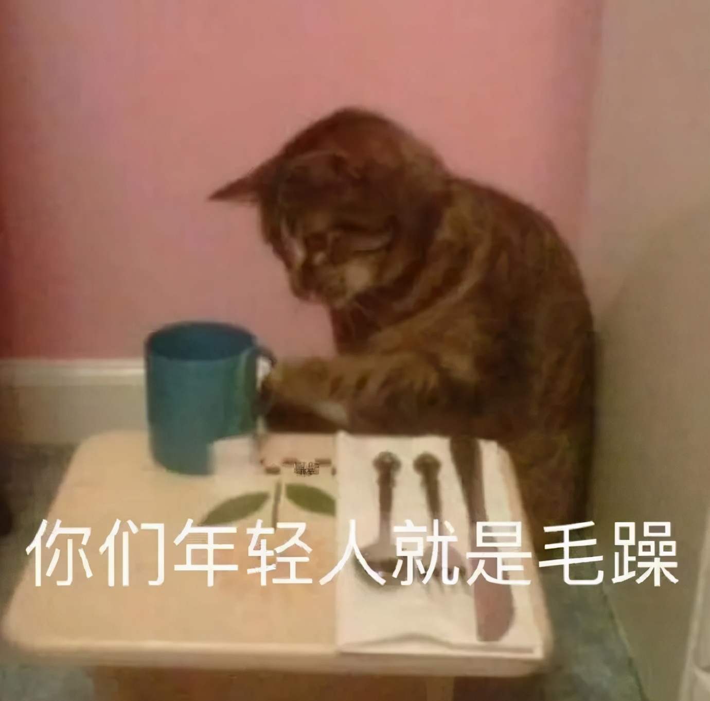 舔雪糕粘舌头原理,舌头粘在雪糕上