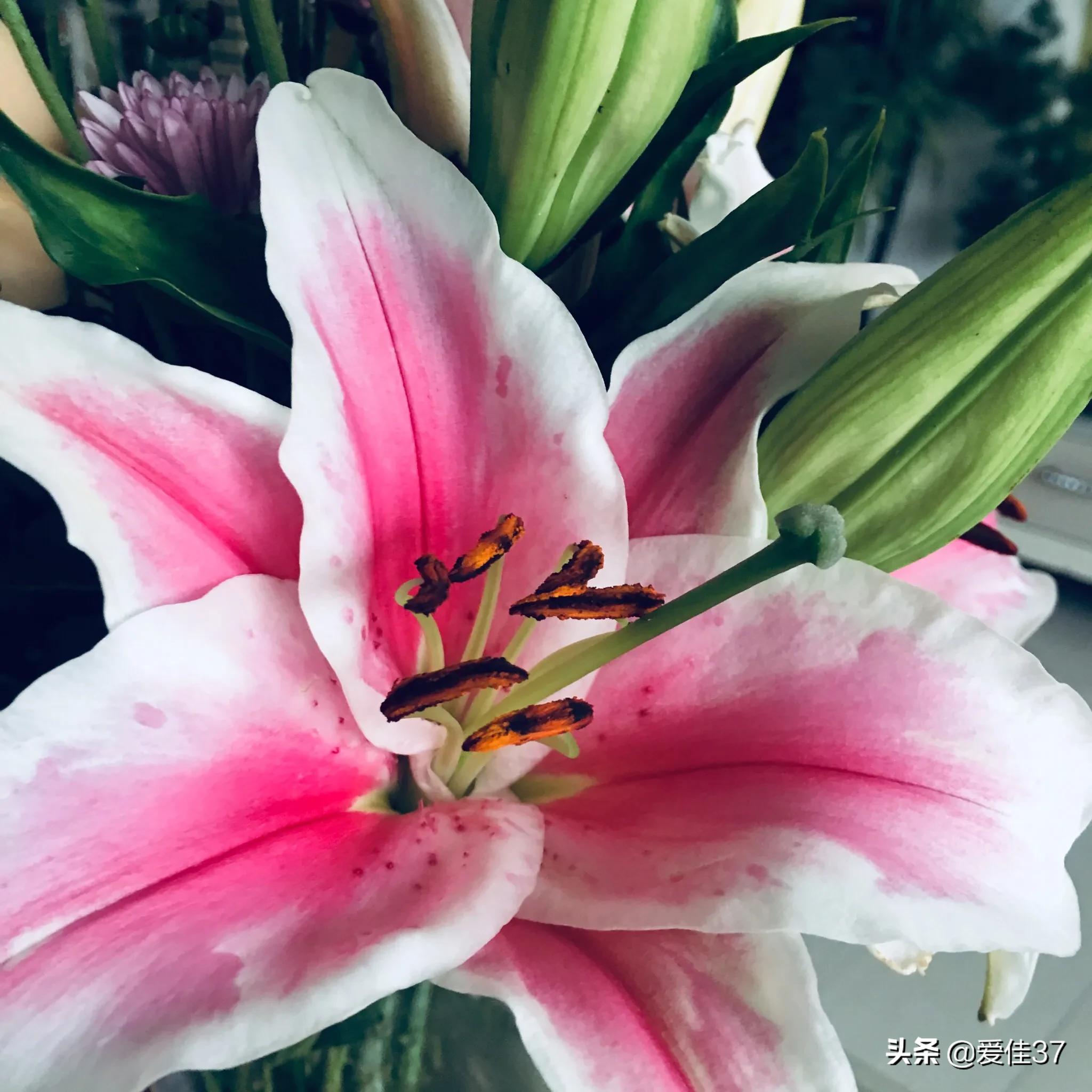 自己辛苦付出却得不到孩子的理解,孩子其实懂你的辛苦