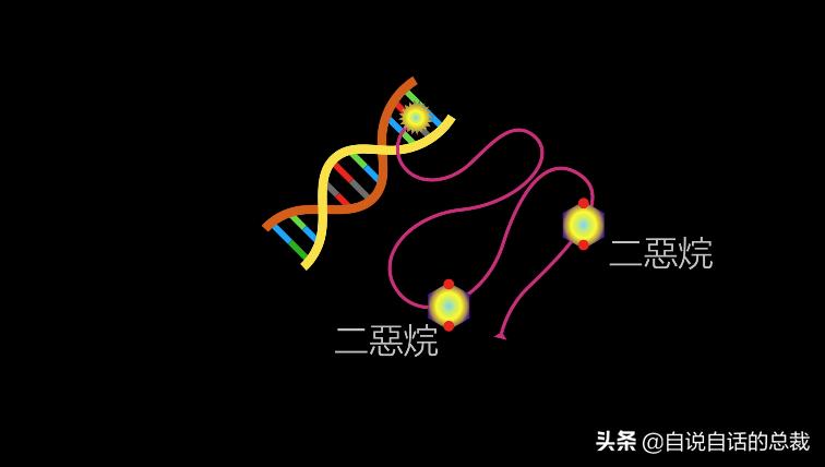 阿努纳奇创造人类,阿努纳奇的真实故事