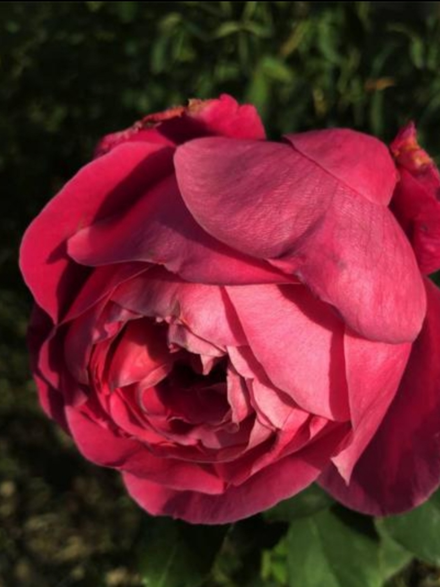 花钱在娘家赚钱出力在婆家,女人在娘家时花钱在婆家挣钱