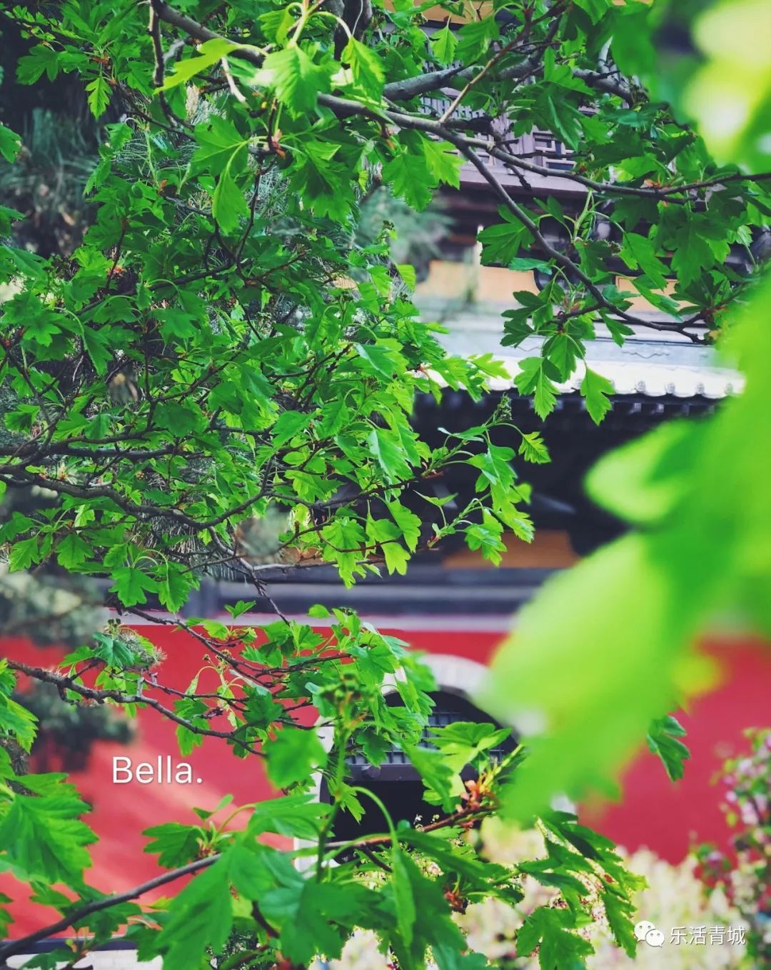 贝拉专访合集,贝拉专栏采访视频