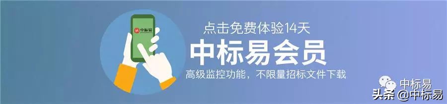 供应商投标中存在的问题,供应商无效投标的主要情形