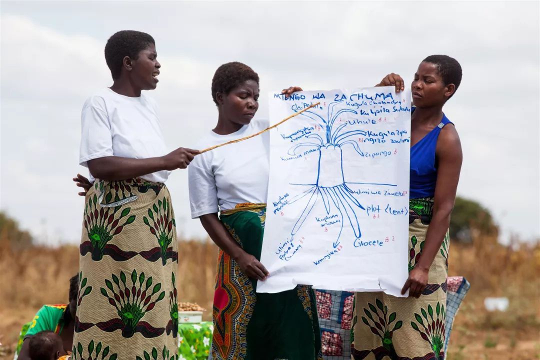 比尔盖茨梅琳达放手一搏,盖茨基金会预言2025