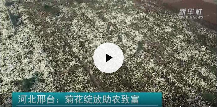 高端媒体看磁县,高端媒体看邢台新华社