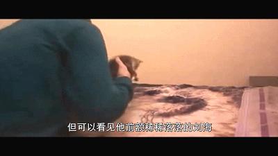 变态虐待狂为出名，竟把杀人视频po上网