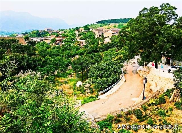 梨木台景林农家院,梨木台景林农家院直播