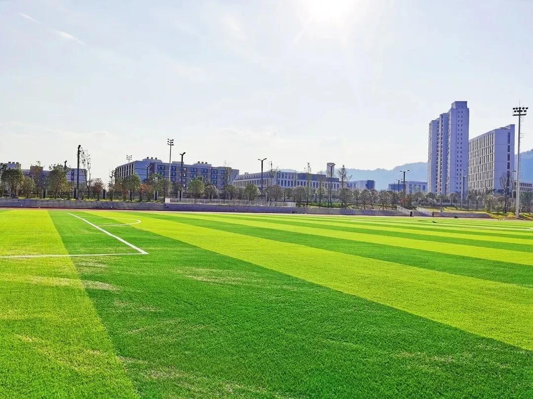 成都理工大学宜宾分校区,宜宾成都理工大学新校区