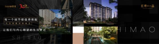 德州世茂红烨一品,山东世茂最新消息