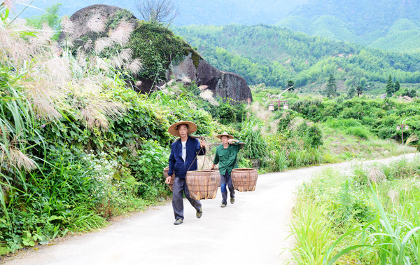 仙山岭,江西的“扎尕那”,万里茶道第一村,却被无数游客错过