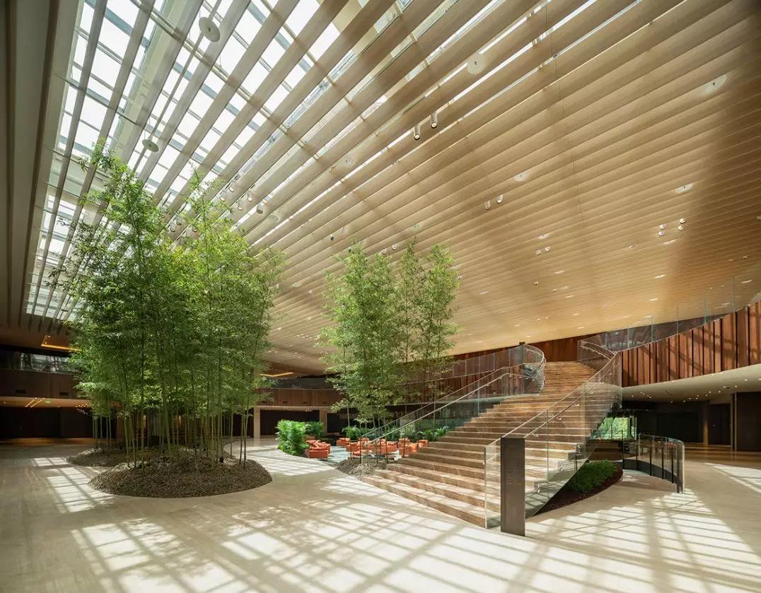 2019年度最忙建筑师——隈研吾，日本首个中国艺术大师美术馆落成