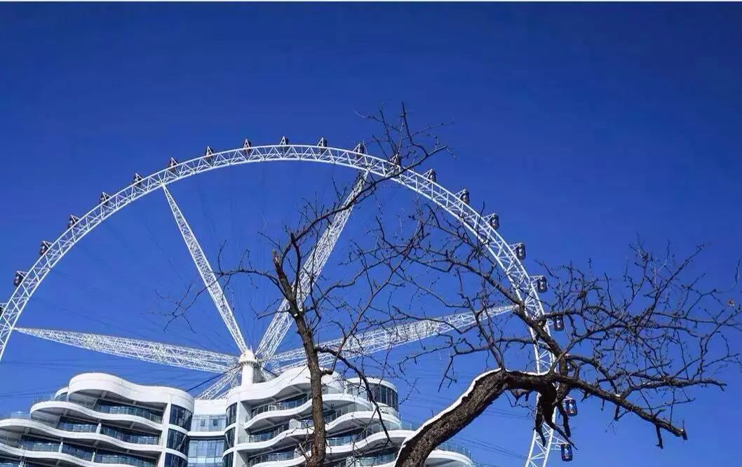 聊城市的美景有哪些,聊城隐藏的全国之最