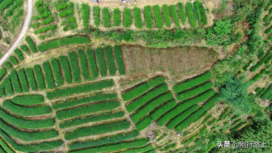 揭西大洋国际生态旅游度假区，风景美不胜收，可休闲可露营