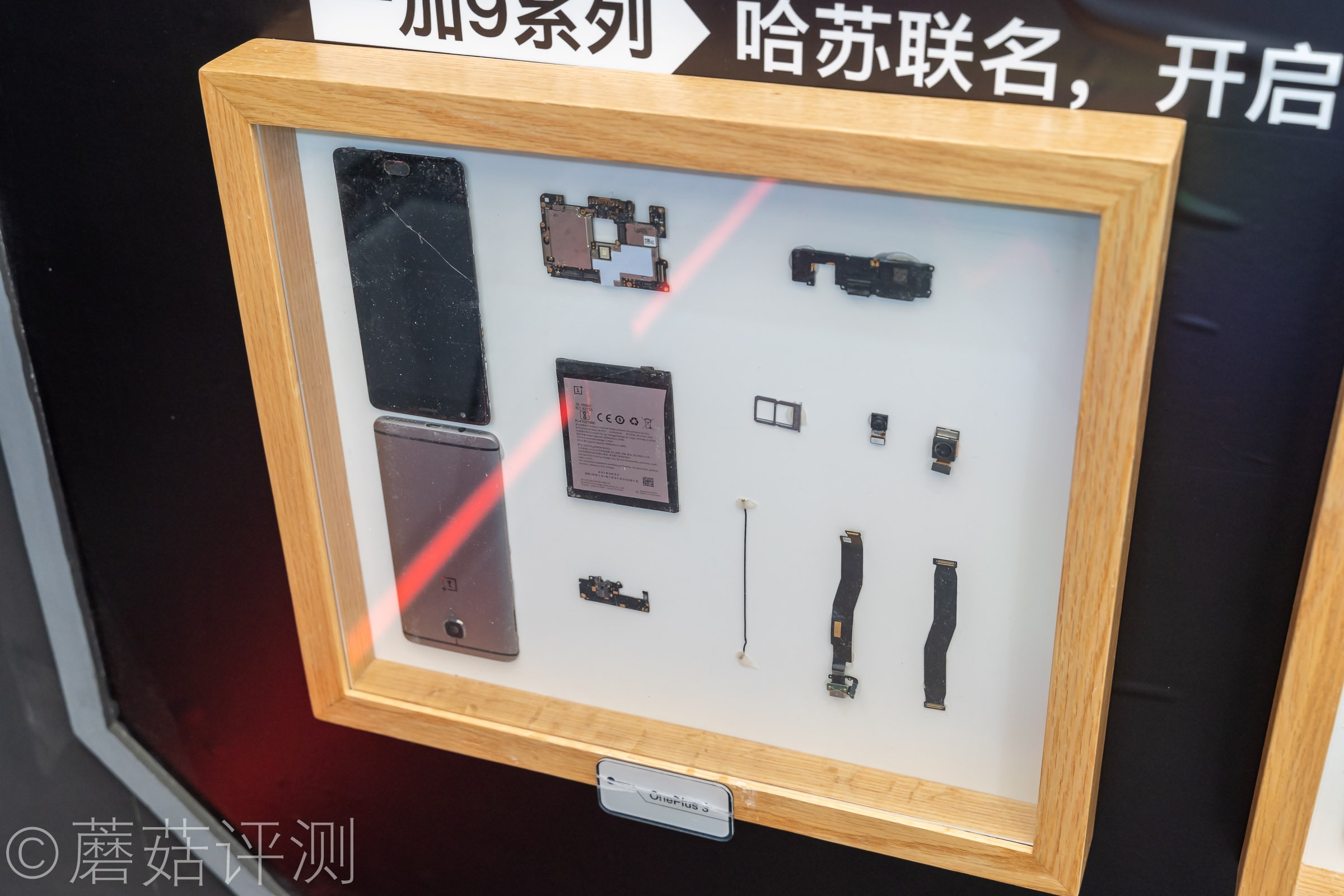 又有啥好玩的？蘑菇带你逛ChinaJoy2021，硬件、车和漂亮的小姐姐