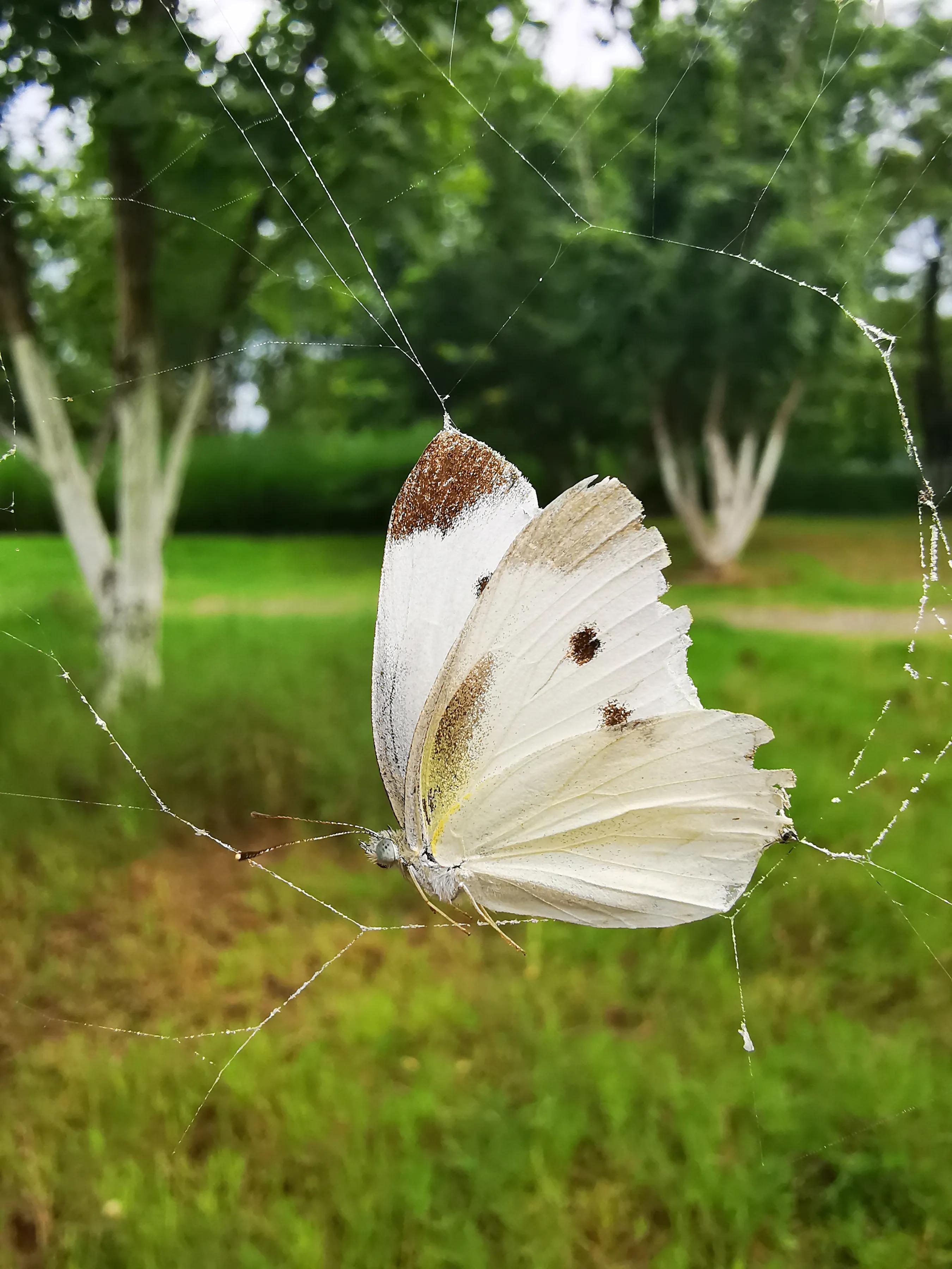 手拍世界手机摄影平台,手拍世界摄影交流平台