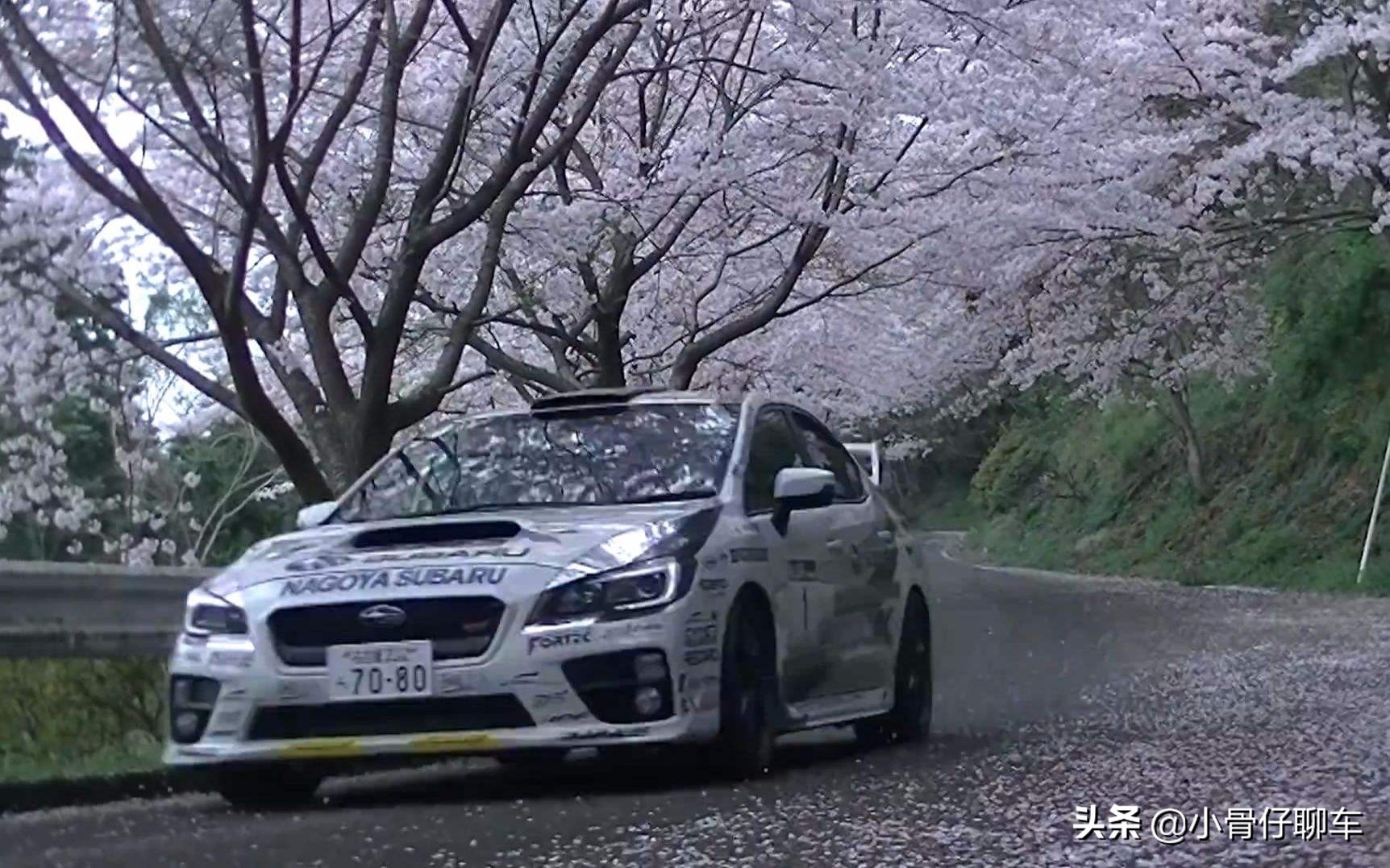 斯巴鲁跟evo的故事,宝马m2对比三菱evo斯巴鲁翼豹